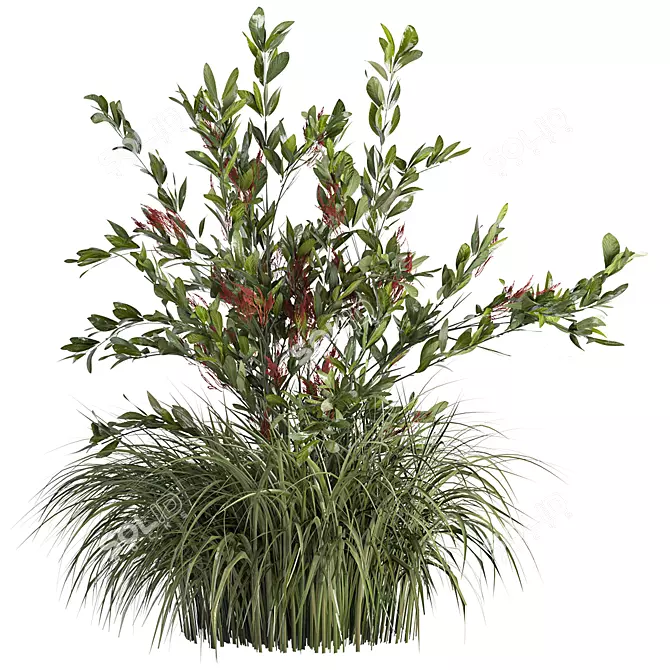 Sleek Bush No 3 Model 3D model image 2