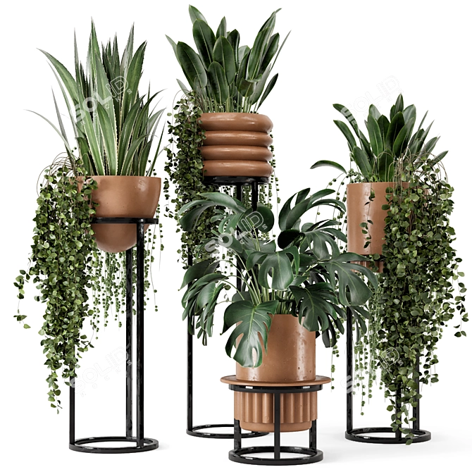 Rusty Concrete Pot Indoor Plants 3D model image 1