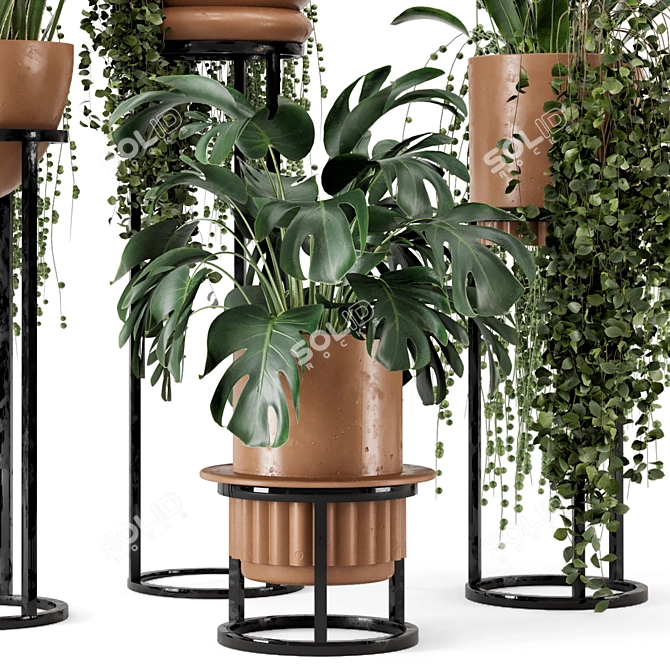 Rusty Concrete Pot Indoor Plants 3D model image 3