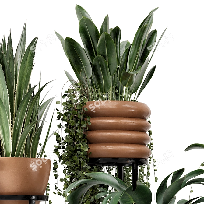 Rusty Concrete Pot Indoor Plants 3D model image 5