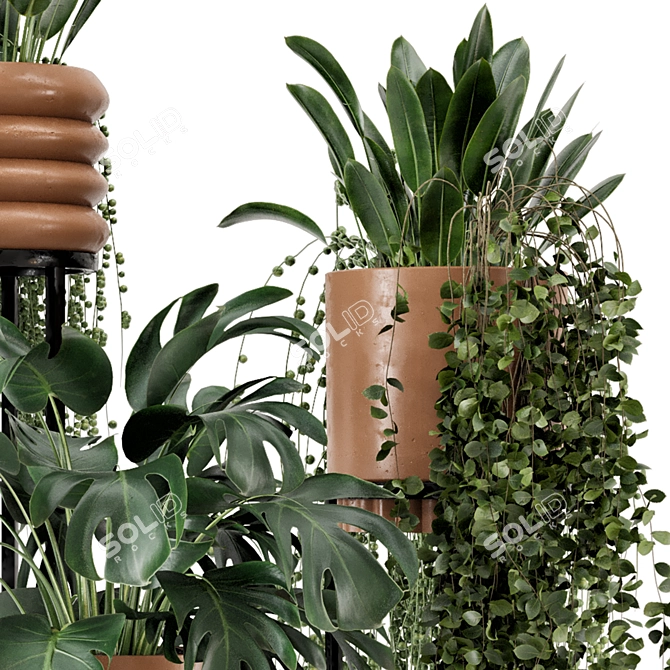 Rusty Concrete Pot Indoor Plants 3D model image 6