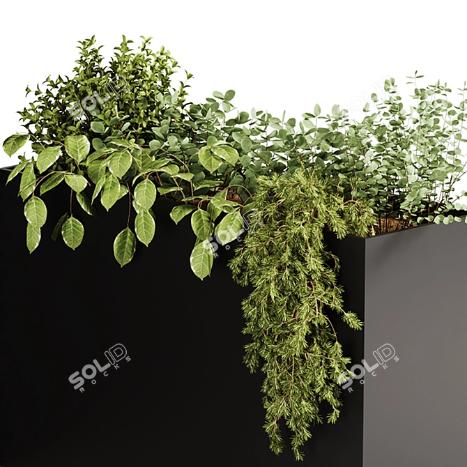 30-Piece Indoor Plant Set 3D model image 5