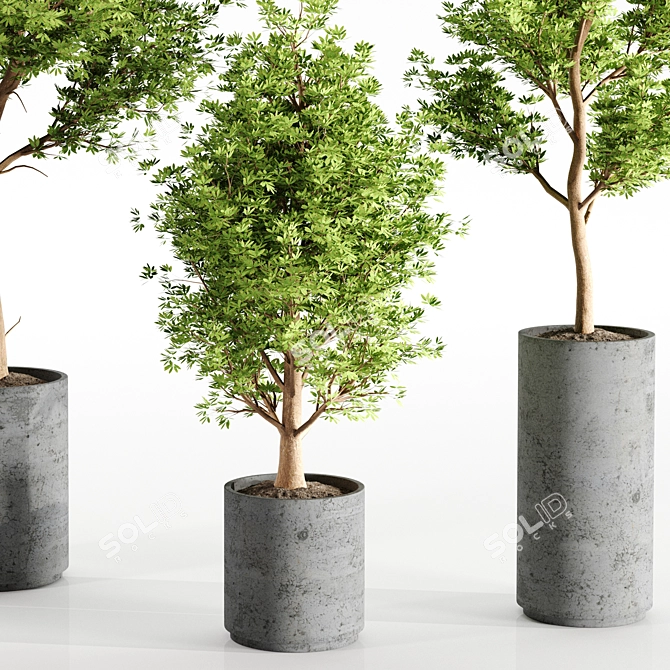 Concrete Pot Set with Indoor Plants 3D model image 2