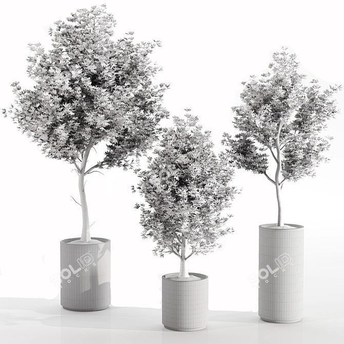 Concrete Pot Set with Indoor Plants 3D model image 8