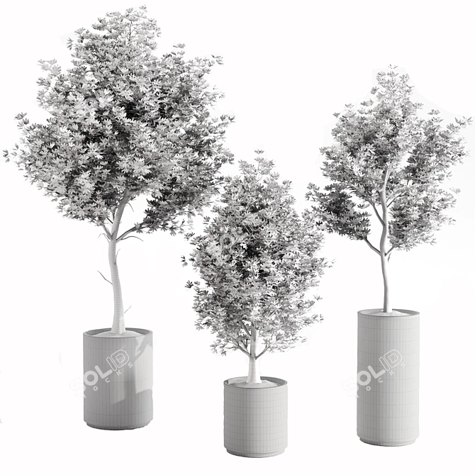 Concrete Pot Set with Indoor Plants 3D model image 12