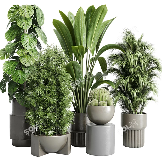 Assorted Indoor Plant Collection 206 3D model image 1