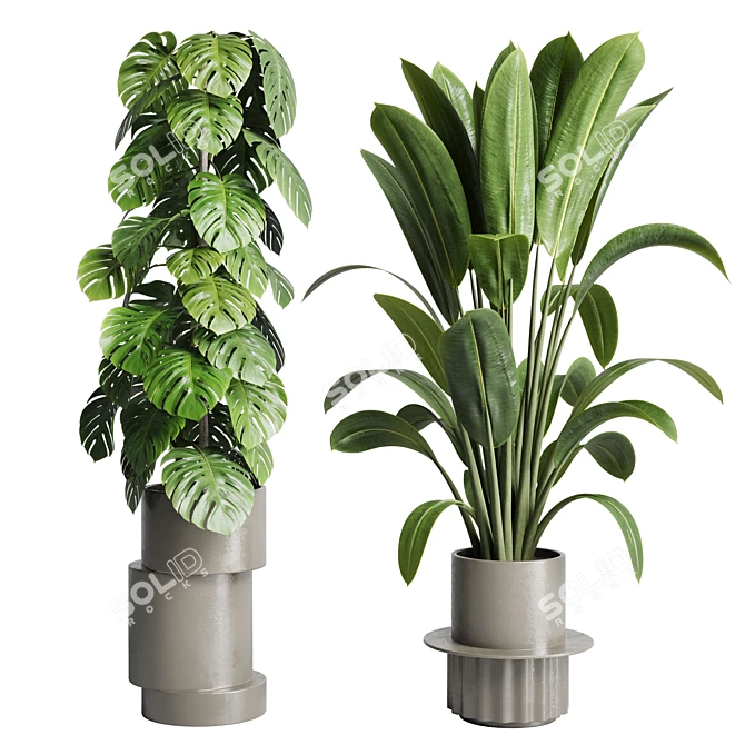 Assorted Indoor Plant Collection 206 3D model image 2