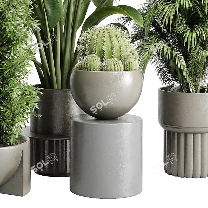 Assorted Indoor Plant Collection 206 3D model image 4