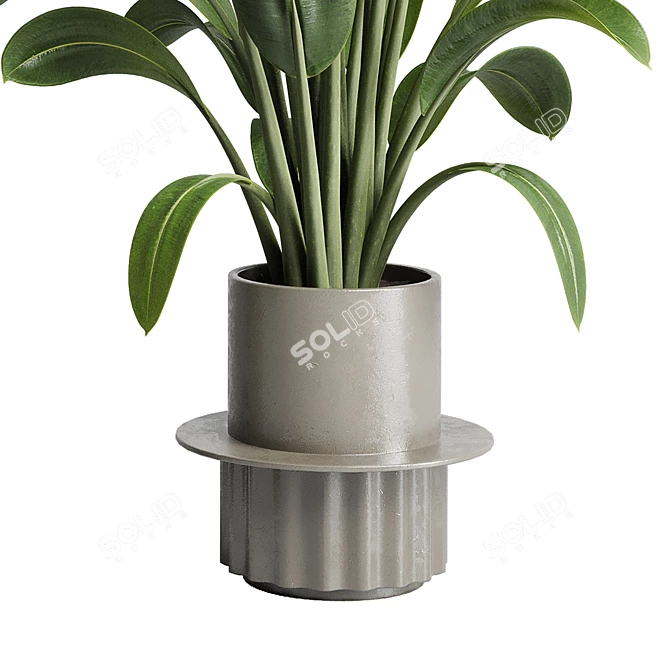 Assorted Indoor Plant Collection 206 3D model image 5