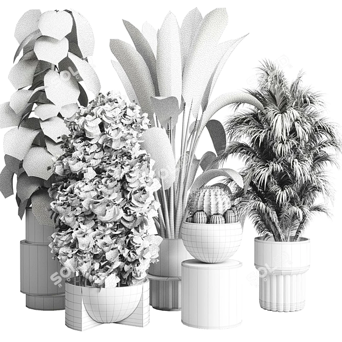 Assorted Indoor Plant Collection 206 3D model image 7