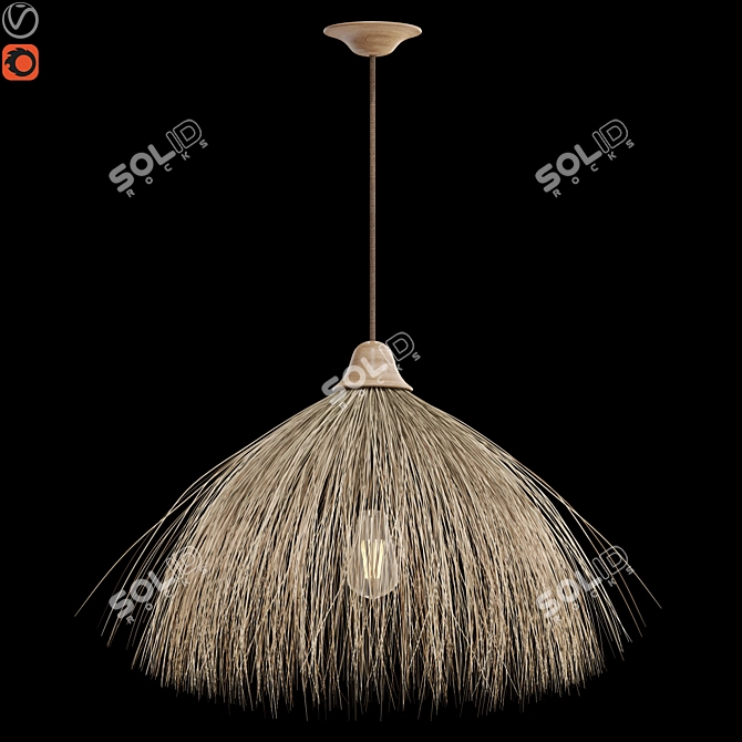 Natural Dry Leaf Ceiling Lamp 3D model image 1