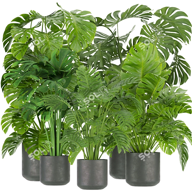 Premium Indoor Monstera Plant Model 3D model image 1