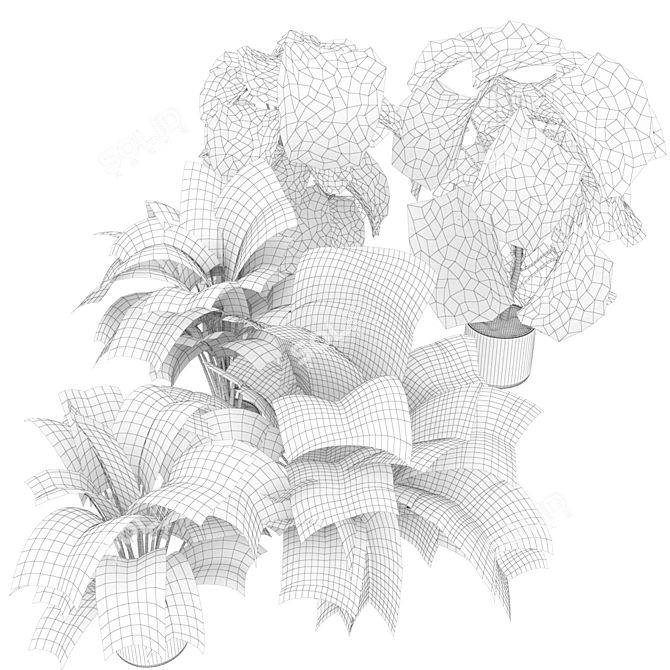 Premium Indoor Monstera Plant Model 3D model image 7