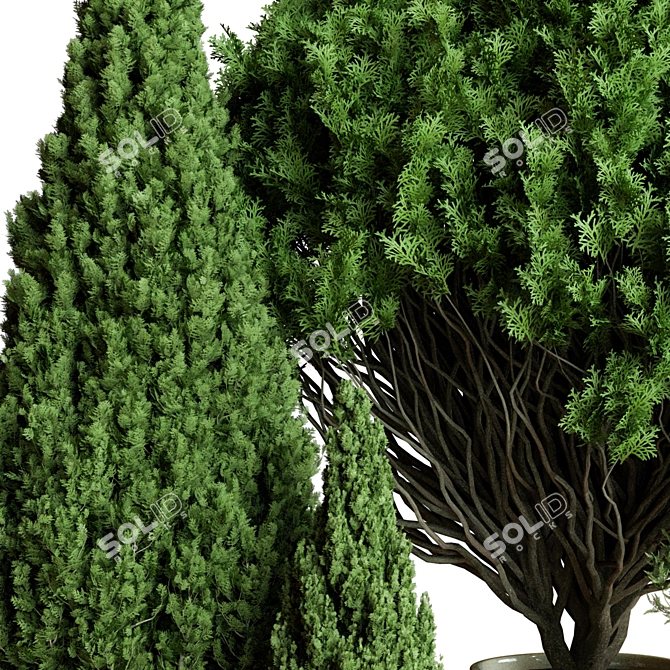 Outdoor Plant 3D Model Vol.50 3D model image 2