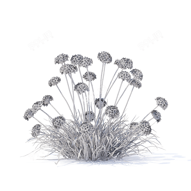 Coastal Armeria Plants Set 3D model image 3