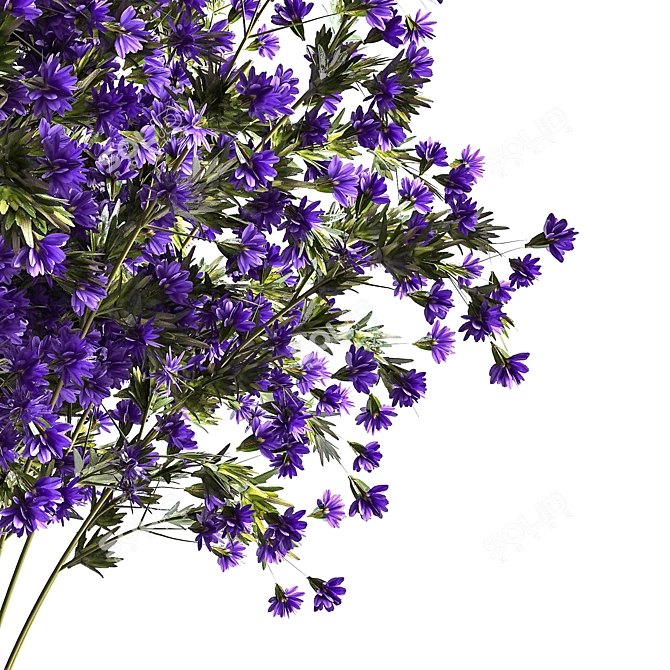  Maine Blue Limonium Flowers Bouquet 3D model image 2