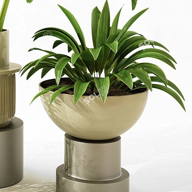 Modern Indoor Plant Collection Set 3D model image 3