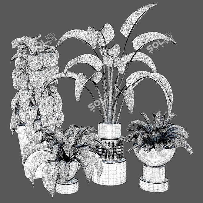 Modern Indoor Plant Collection Set 3D model image 4