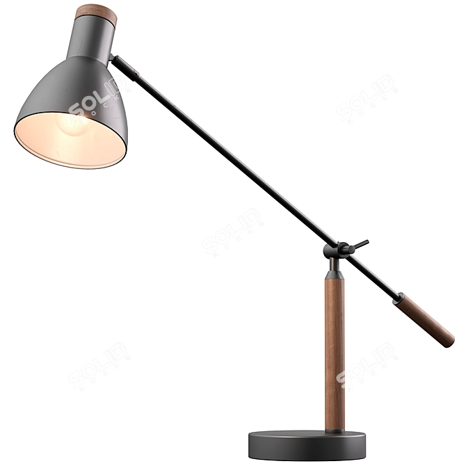 Cohen Table Lamp, Deep Grey 3D model image 1