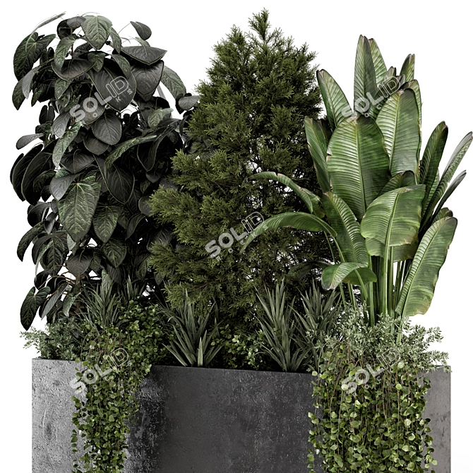 Concrete Pot Outdoor Plant Set 3D model image 2