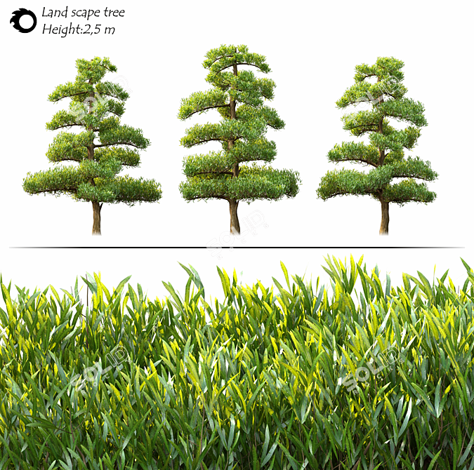 Forest Majesty Landscape Tree 3D model image 2