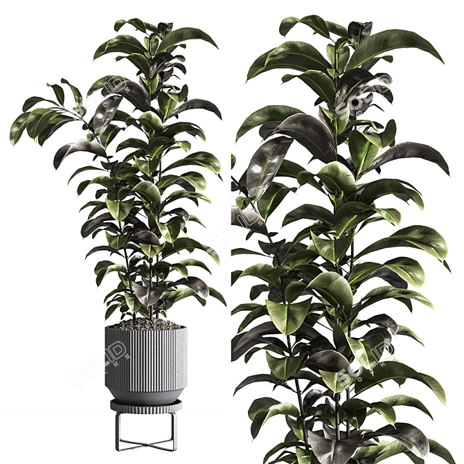 Modern Indoor Plant Set 26 3D model image 2