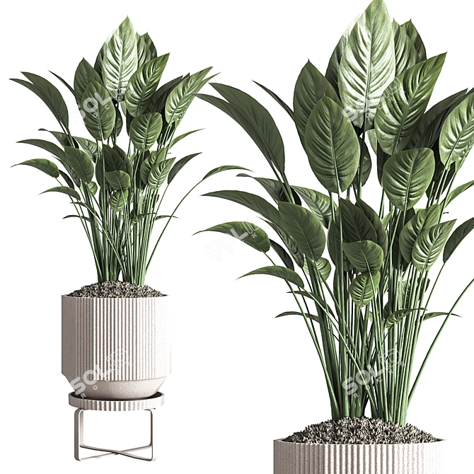 Modern Indoor Plant Set 26 3D model image 3