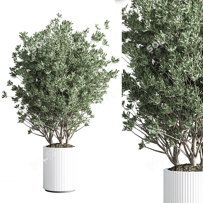 Modern Indoor Plant Set 26 3D model image 4