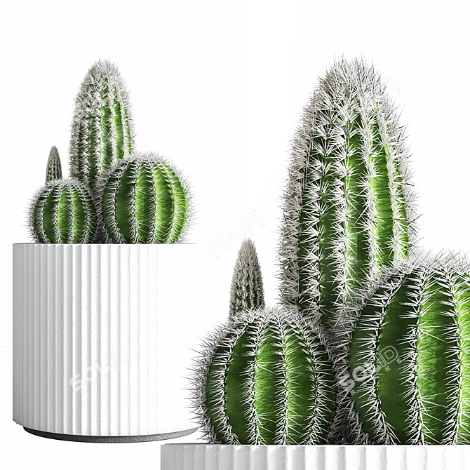 Modern Indoor Plant Set 26 3D model image 6