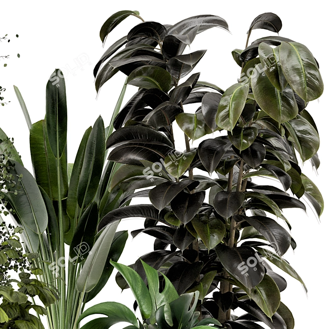 Modern Indoor Plants in Large Bau Pot 3D model image 3