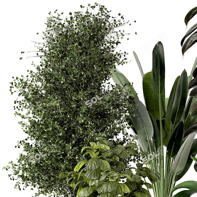 Modern Indoor Plants in Large Bau Pot 3D model image 5