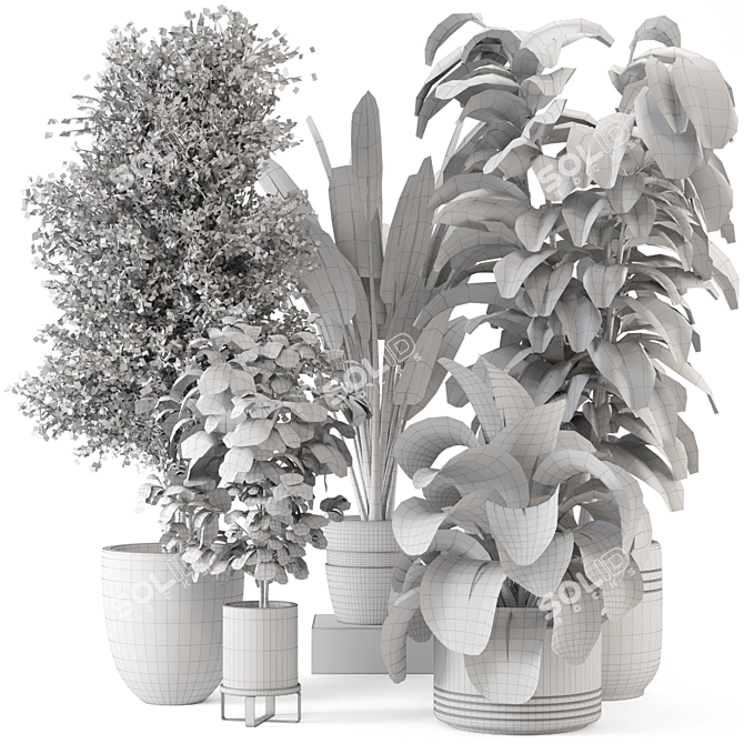 Modern Indoor Plants in Large Bau Pot 3D model image 7