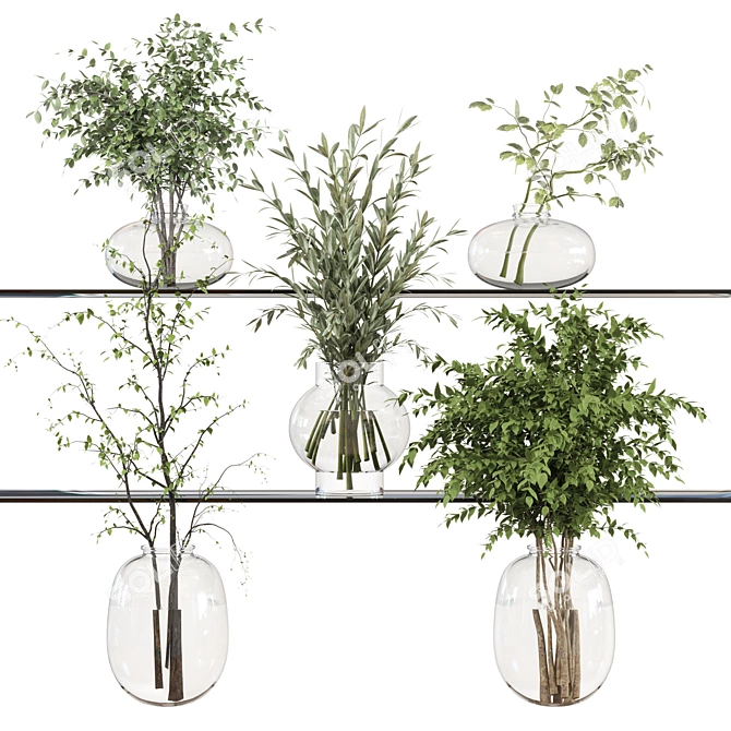 Glass Vase Indoor Plants Bouquet 3D model image 1