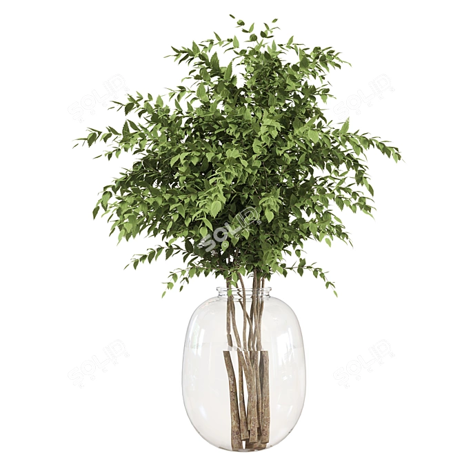 Glass Vase Indoor Plants Bouquet 3D model image 2