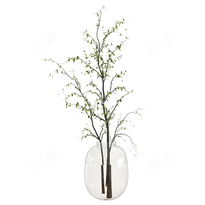 Glass Vase Indoor Plants Bouquet 3D model image 3
