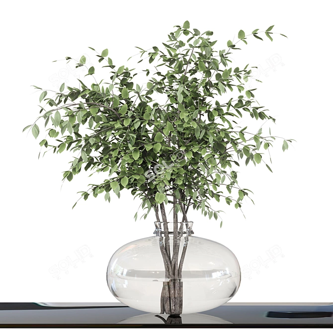 Glass Vase Indoor Plants Bouquet 3D model image 5