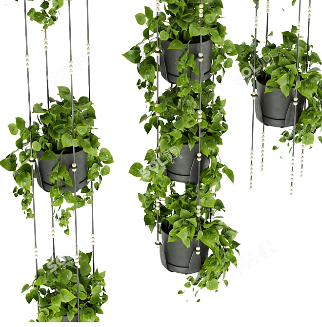Premium Hanging Pothos Plant Model 3D model image 3