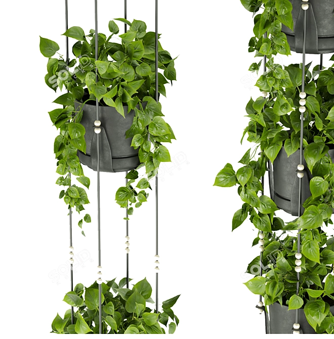 Premium Hanging Pothos Plant Model 3D model image 4