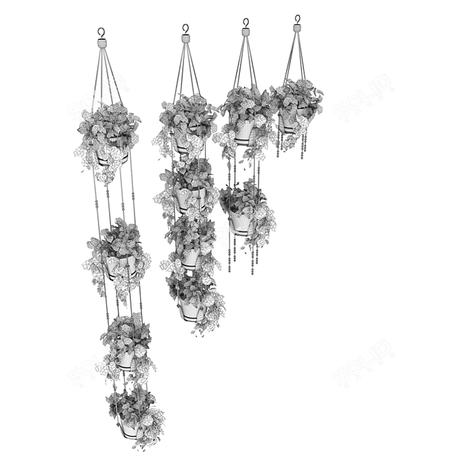 Premium Hanging Pothos Plant Model 3D model image 5