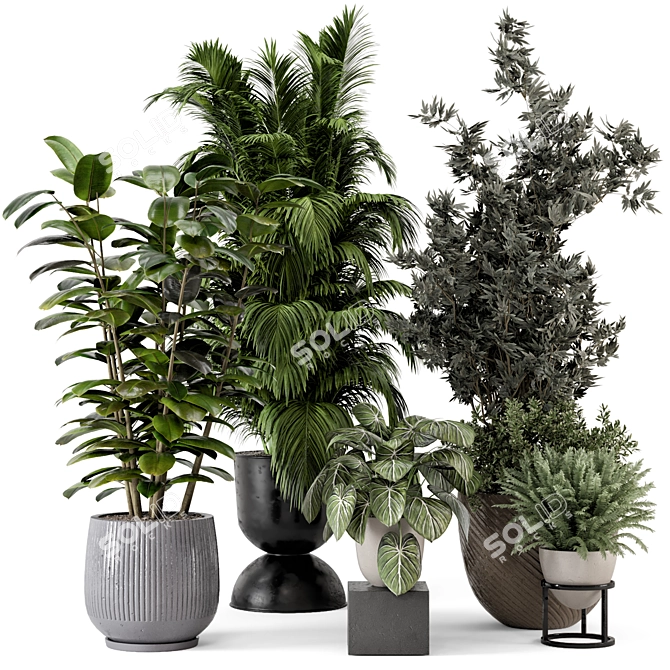 Modern Indoor Plants in Bau Pot 3D model image 1