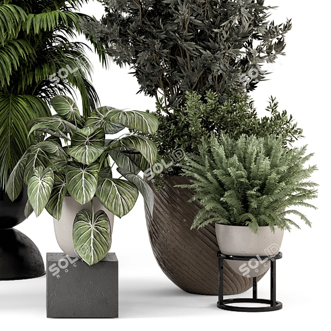 Modern Indoor Plants in Bau Pot 3D model image 2