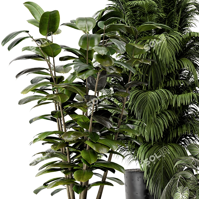 Modern Indoor Plants in Bau Pot 3D model image 3