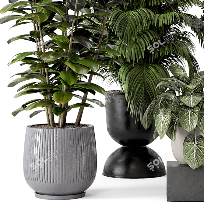 Modern Indoor Plants in Bau Pot 3D model image 4