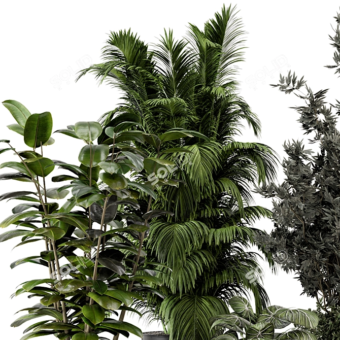 Modern Indoor Plants in Bau Pot 3D model image 5