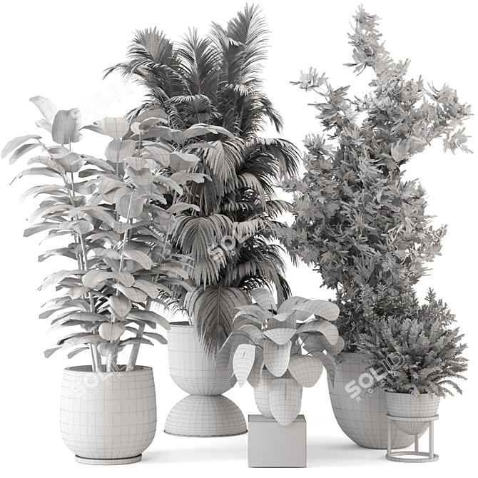 Modern Indoor Plants in Bau Pot 3D model image 7