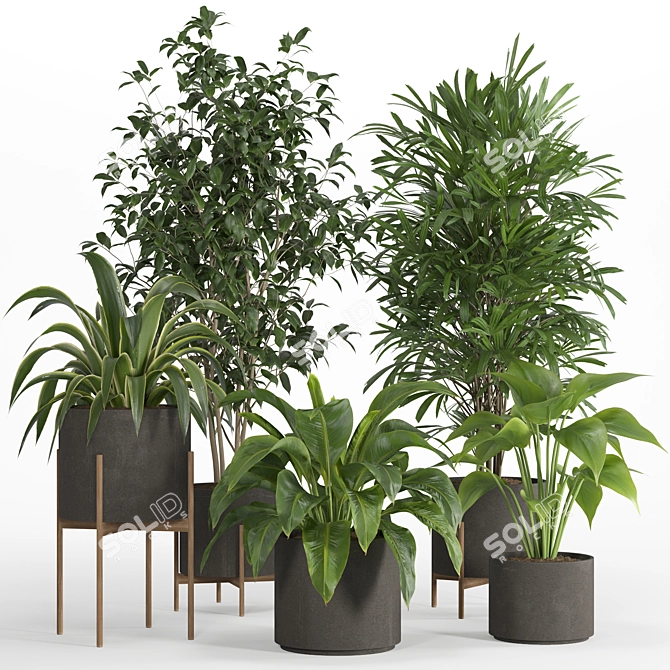 PBR Indoor Plant Set 022 3D model image 1