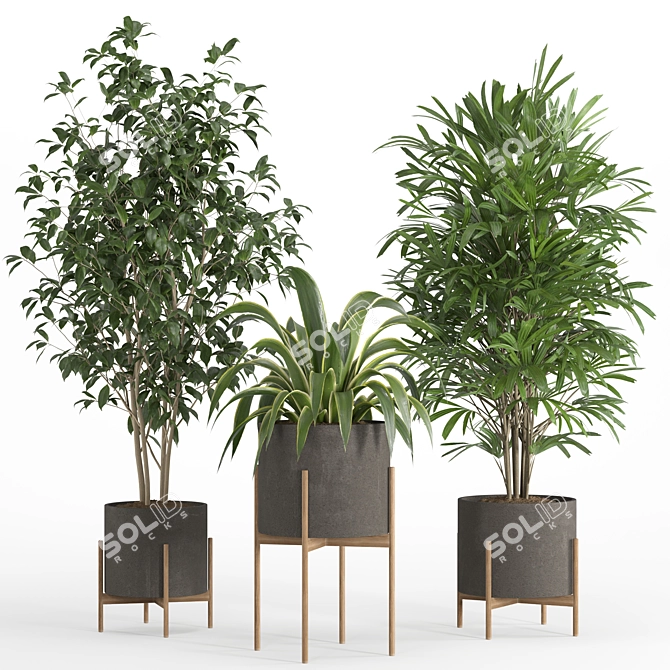 PBR Indoor Plant Set 022 3D model image 2