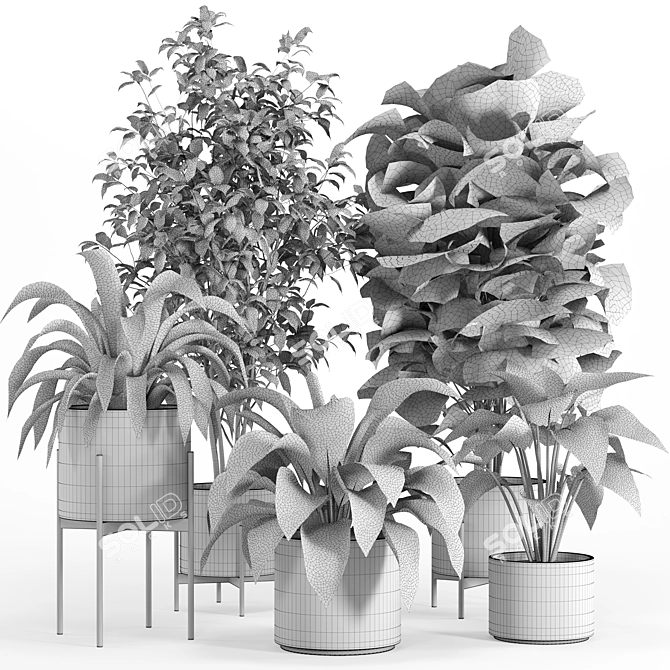 PBR Indoor Plant Set 022 3D model image 3