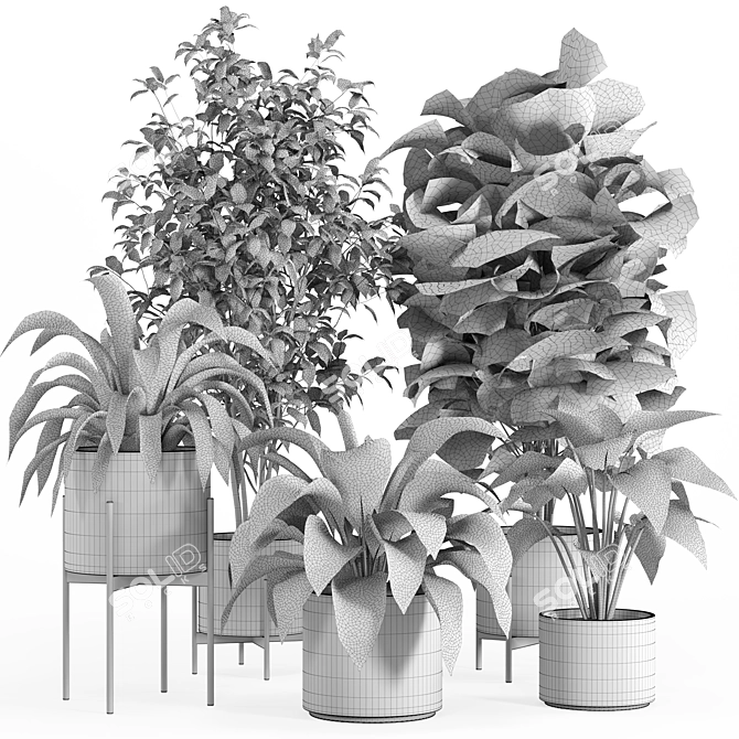 PBR Indoor Plant Set 022 3D model image 7