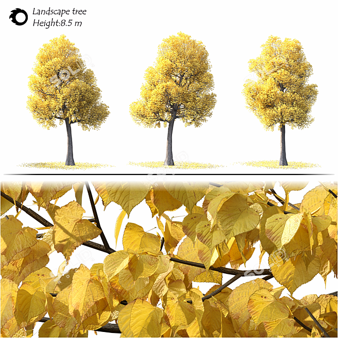 Model Landscape Tree 3D Asset 3D model image 2